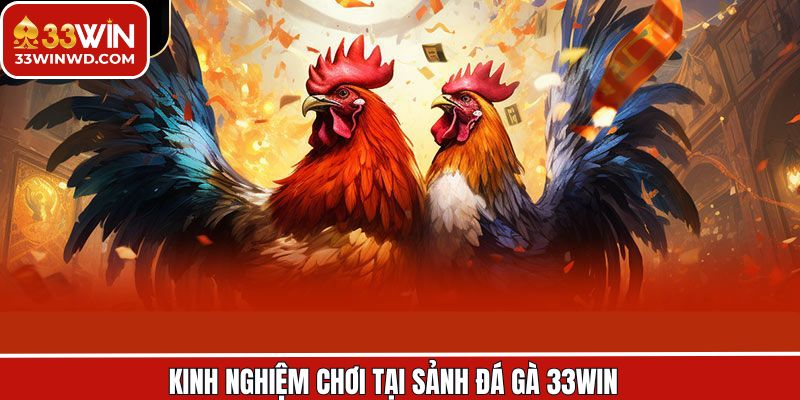 Khám phá bí quyết giúp cá cược đá gà đem lại thắng lớn