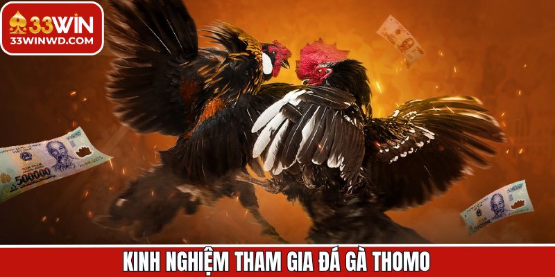 Bật mí chiến lược khi tham gia đá gà Thomo thắng lớn 33Win