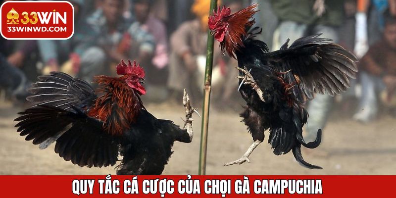 Nắm rõ quy trình cùng tổ chức qua trận đấu Campuchia