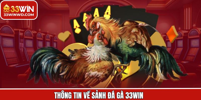 Khám phá thông tin sơ lược về sảnh đá gà 33Win