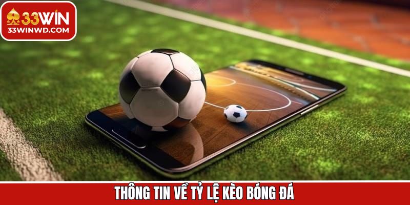 Tổng quan về thuật ngữ tỷ lệ kèo bóng đá