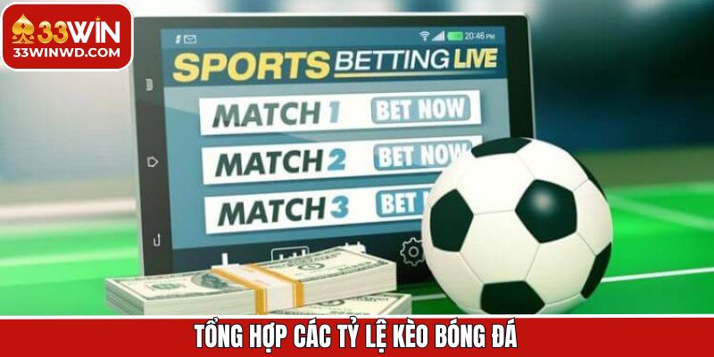 Tỷ lệ odds phổ biến khi cược bóng đá tại 33Win